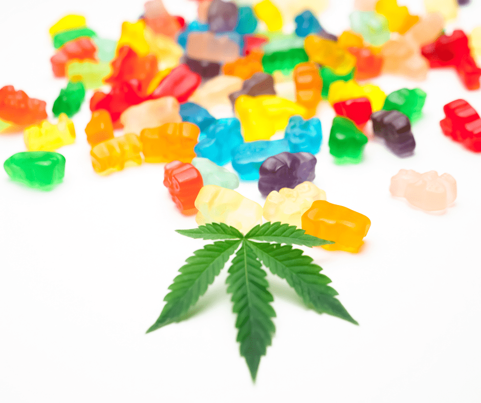 Colorful cannabis gummy bears. Exploring Marijuana, CBD, cannabis, and hemp